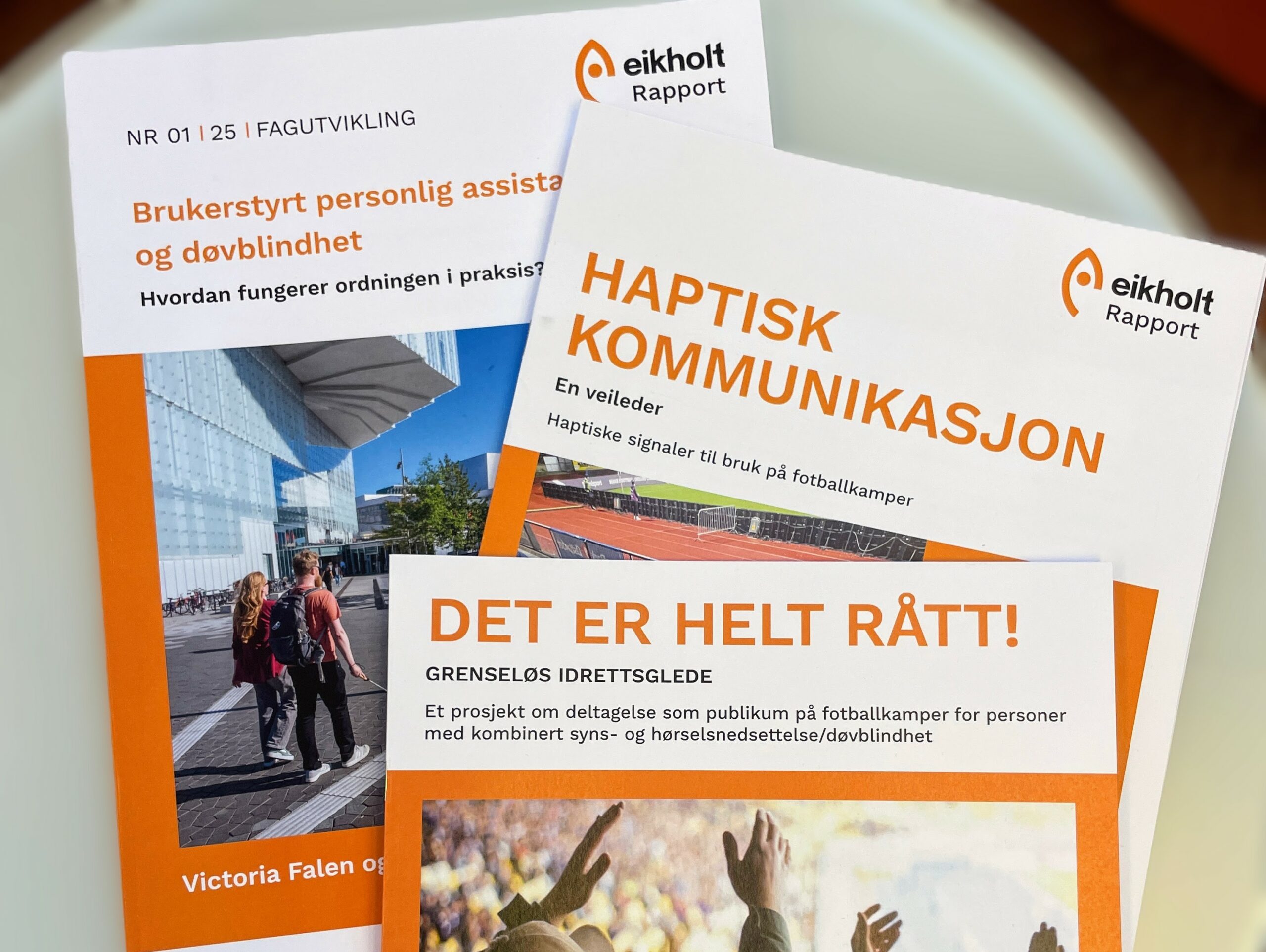 Bilde av Eikholt-rapporter, brosjyre og veileder på et bord.