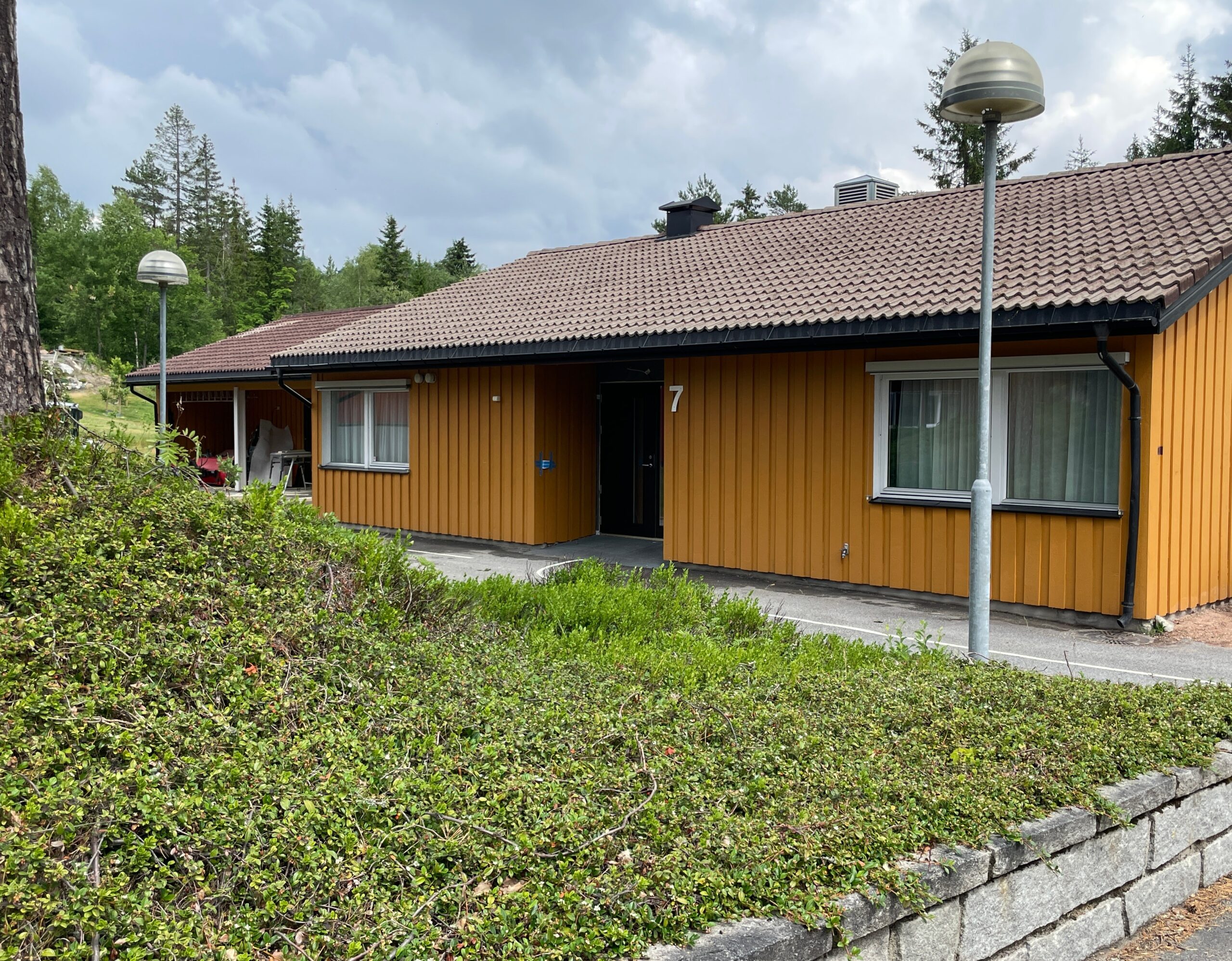 Kasvien peittämä kalteva kukkula, taustalla talo ja lyhtypylväs.