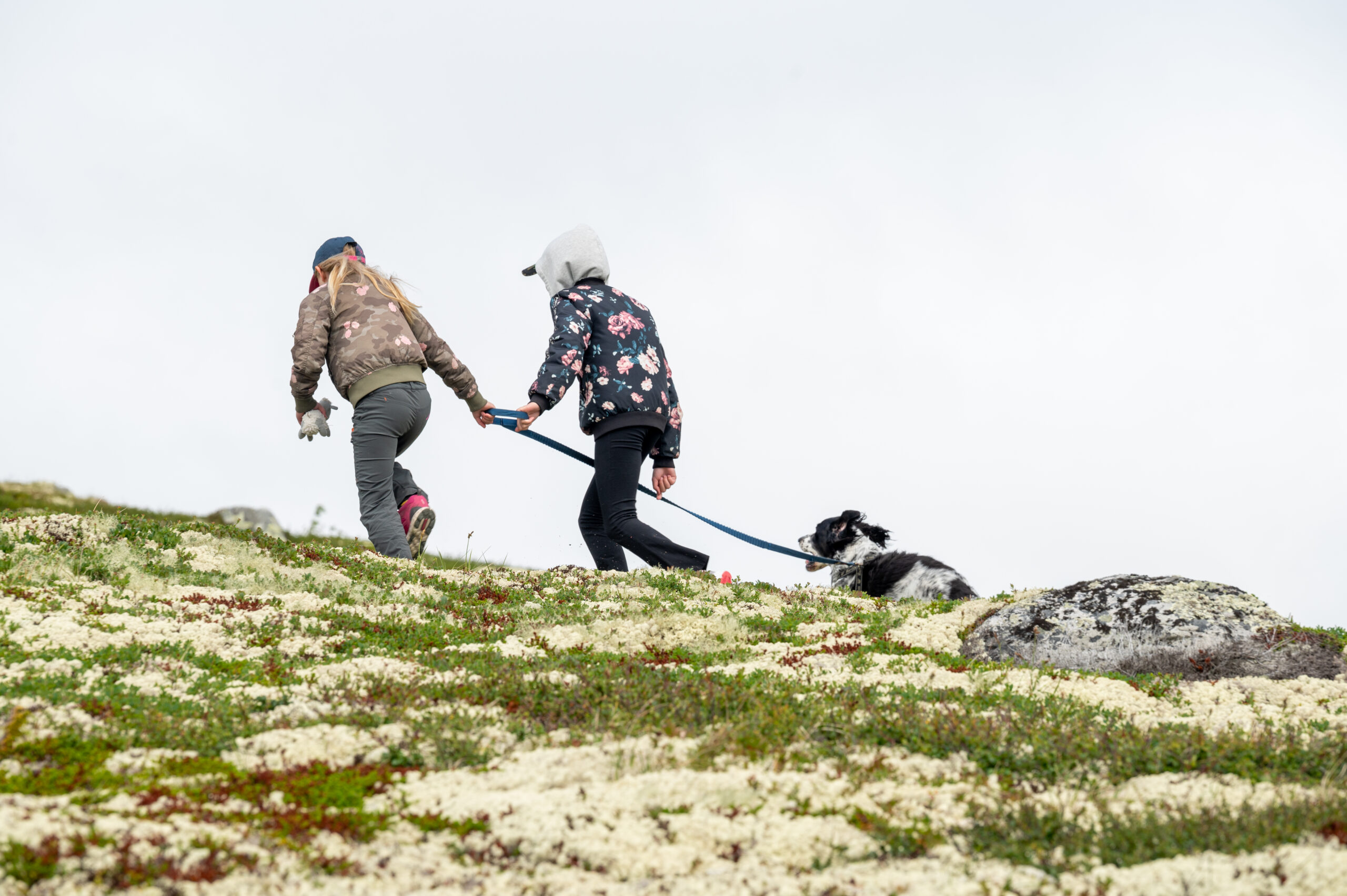 To jenter og en hund på tur