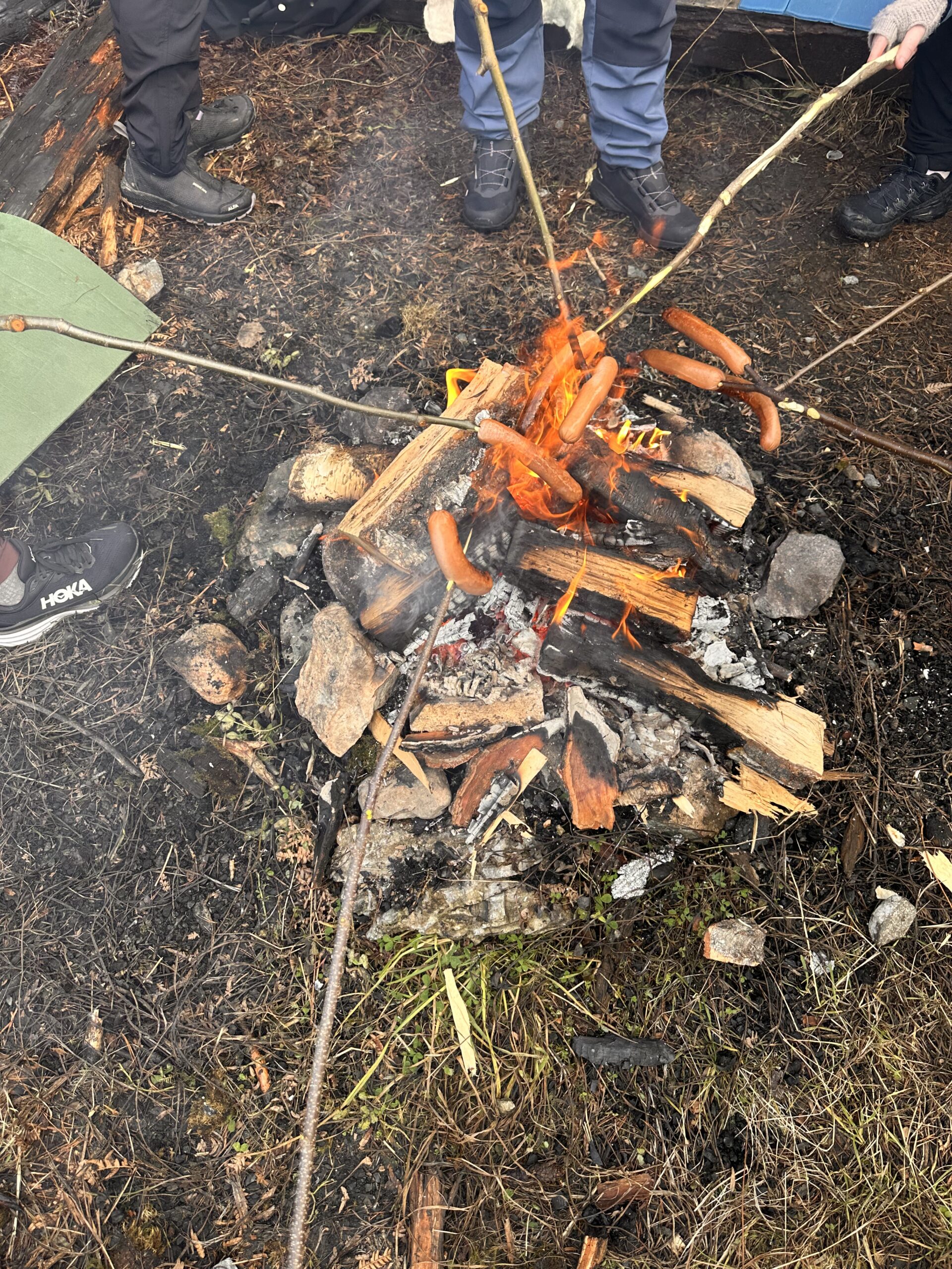 Pølser på pind grillet over bål